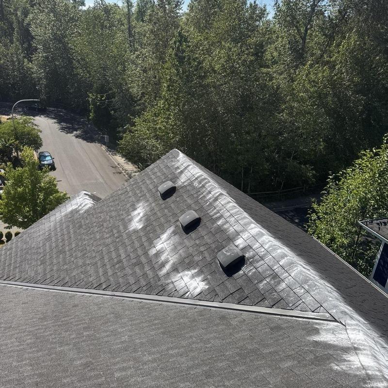 Roof shingle moss treatment and gutter cleaning