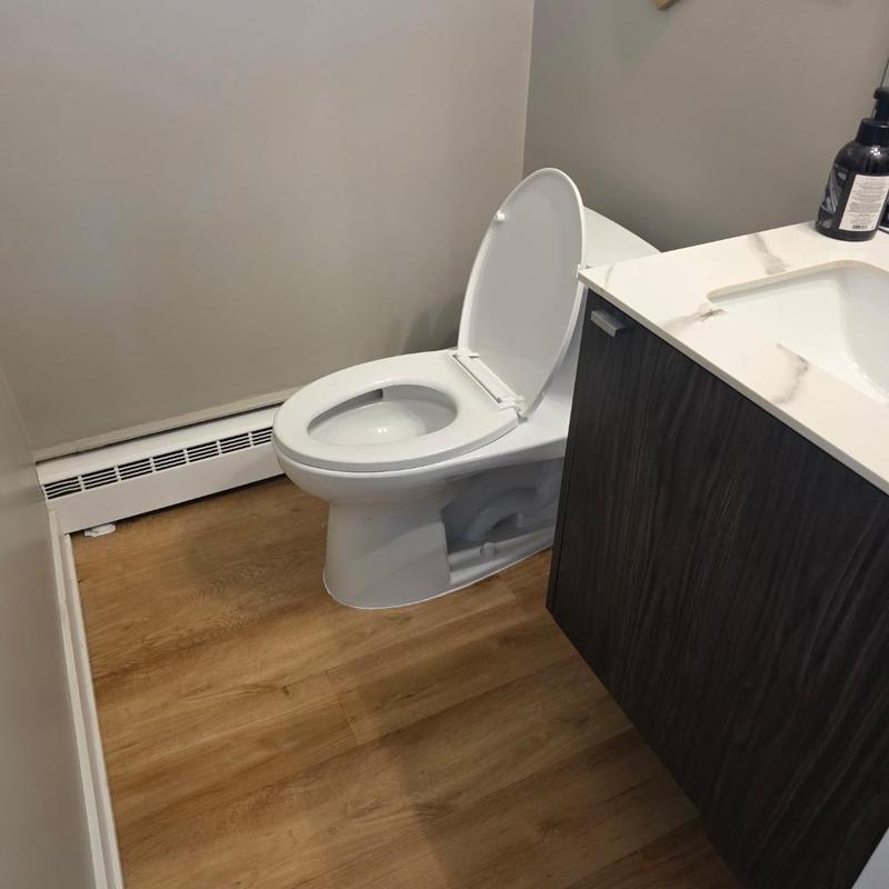 Toilet with open lid near vanity and wood floor