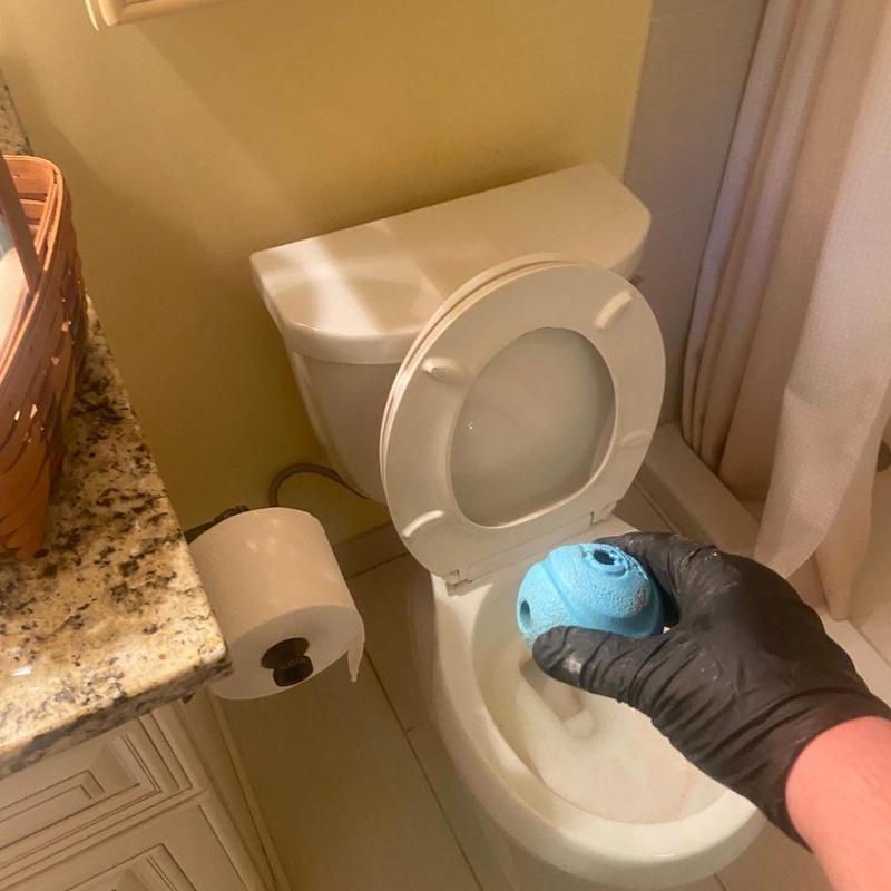 Toilet trap dislodging dog ball with gloved hand