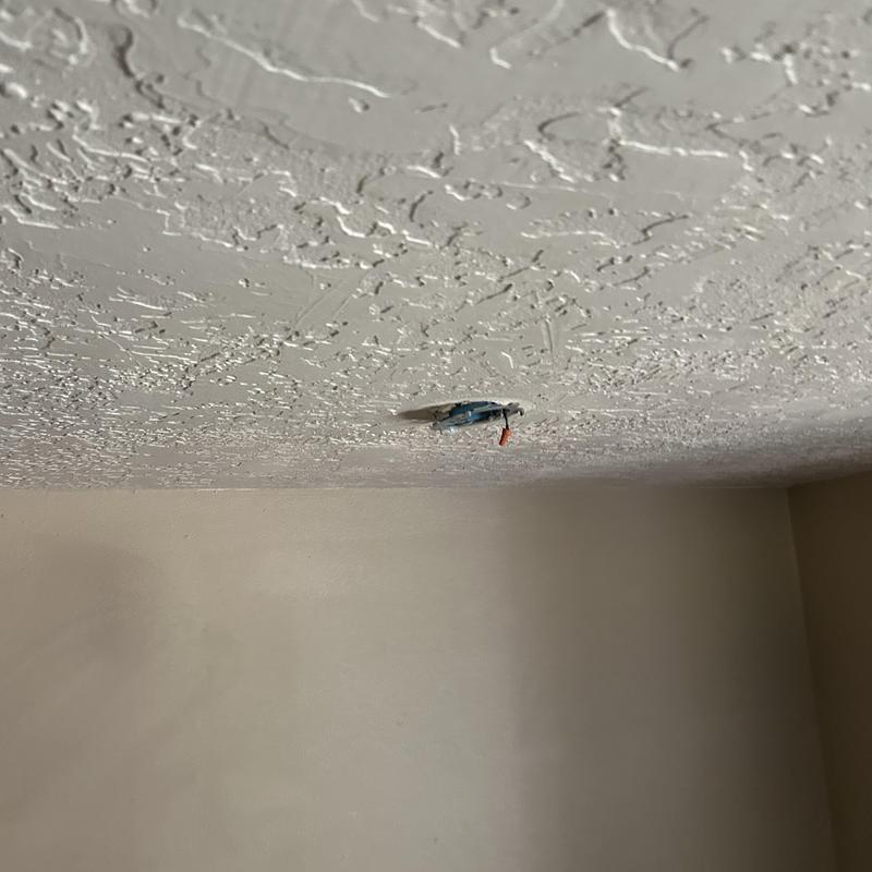 Ceiling electrical box with exposed wiring Ceiling electrical box with exposed wiring