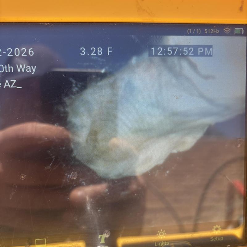 Sewer line pipe blockage with root intrusion camera view