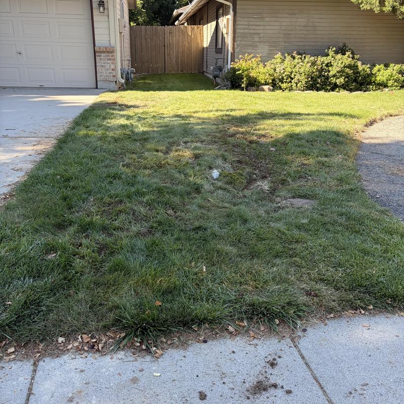 Water main installation site with restored lawn area Water main installation site with restored lawn area
