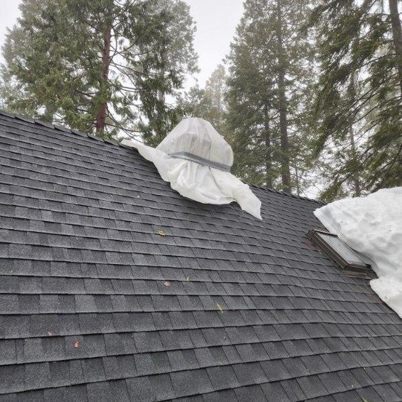 Asphalt shingle roof with covered vent and skylight