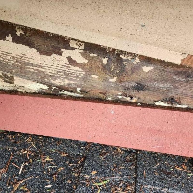 Wood fascia board with paint peeling and roof shingles