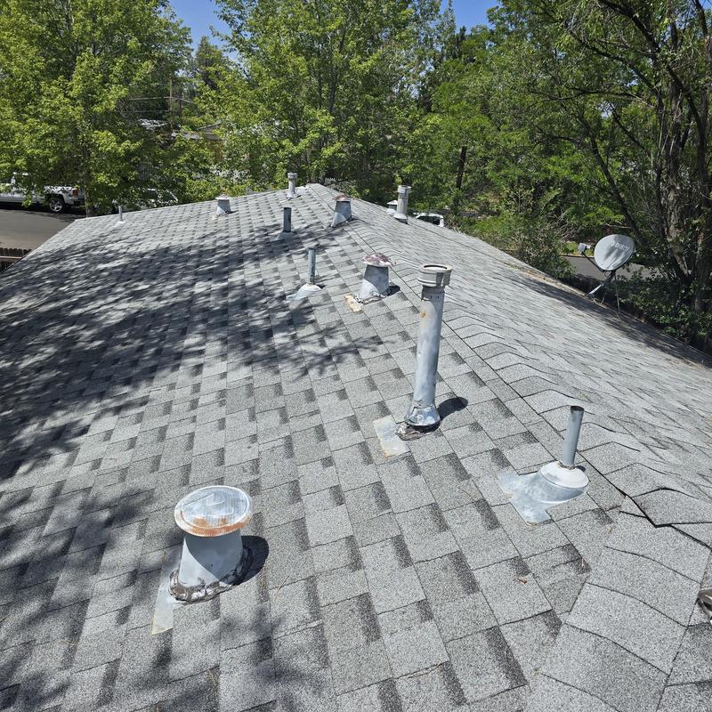 Asphalt shingle roof with multiple vent pipes in Denver