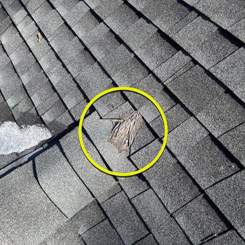 Asphalt shingle roof with torn damage circled in yellow