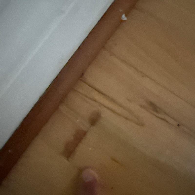 Wooden floorboard with water damage near trim