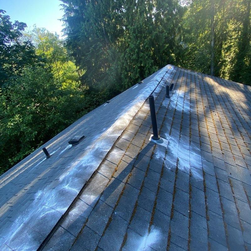 Roof shingles with moss treatment and cleaning marks