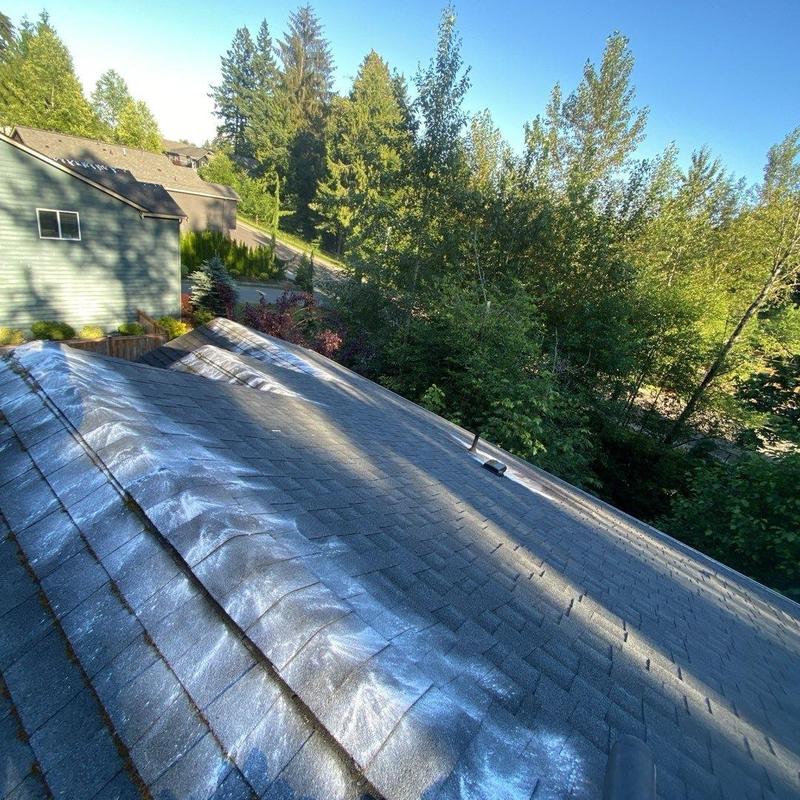 Roof moss treatment and cleaning on residential roof