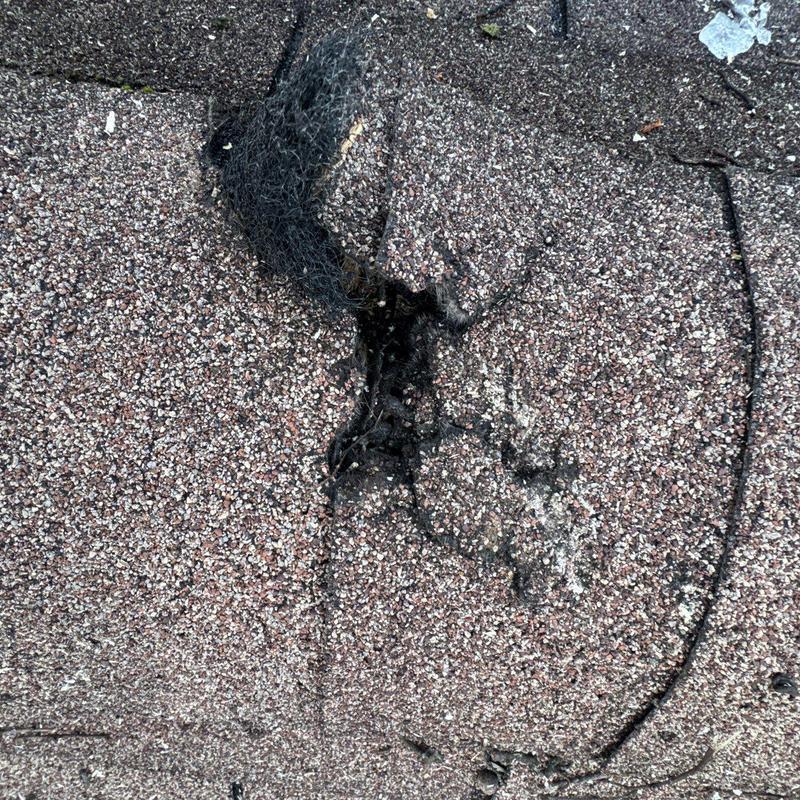 Roof shingles with hail damage and granule loss