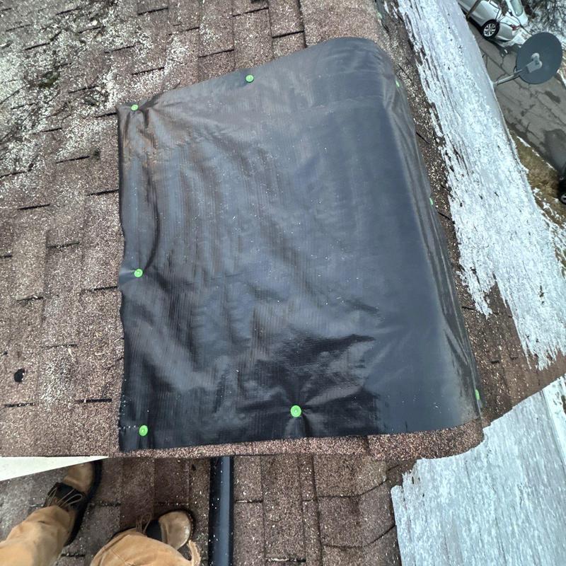Roof shingle underlayment secured with roofing nails