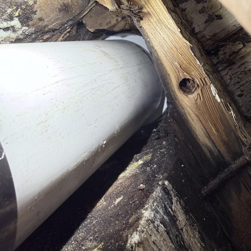 Toilet flange and piping replacement under floor Toilet flange and piping replacement under floor