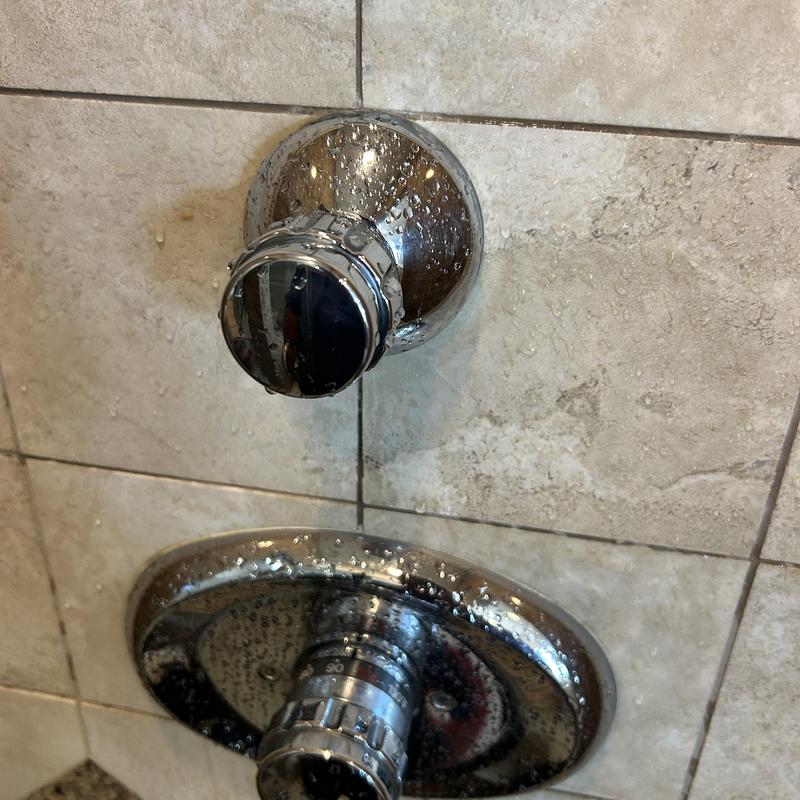 Kohler showerhead and faucet controls on tiled wall