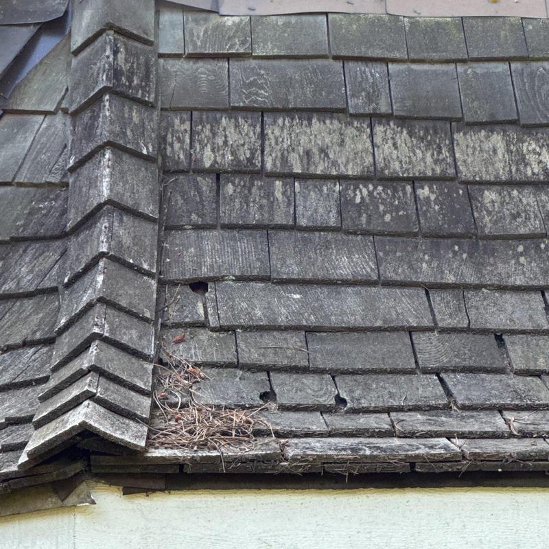 Slate roof shingles with wear and debris buildup