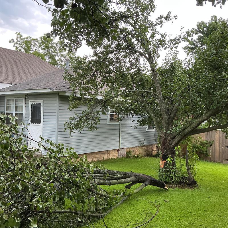 Storm-damaged tree leaning near house and yard Storm-damaged tree leaning near house and yard