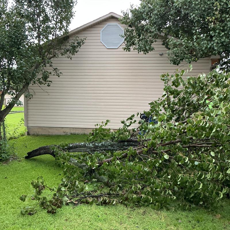 Storm-damaged tree fallen near house exterior wall Storm-damaged tree fallen near house exterior wall