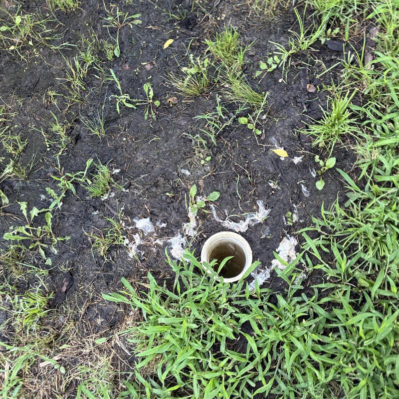 Septic tank cleanout pipe with surrounding soil and grass Septic tank cleanout pipe with surrounding soil and grass