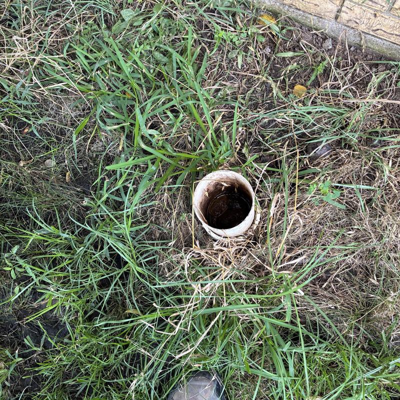 Sewer cleanout pipe clogged in grassy yard Sewer cleanout pipe clogged in grassy yard