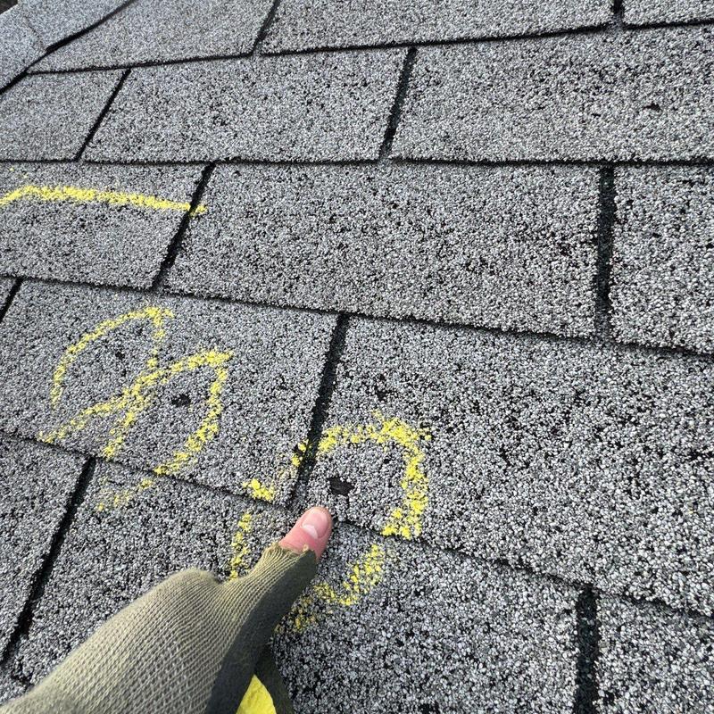 Asphalt shingle roof with hail damage marked in yellow