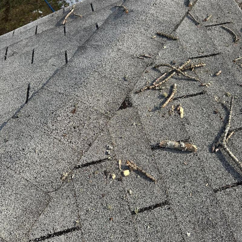 Asphalt roof shingles with hail damage and debris