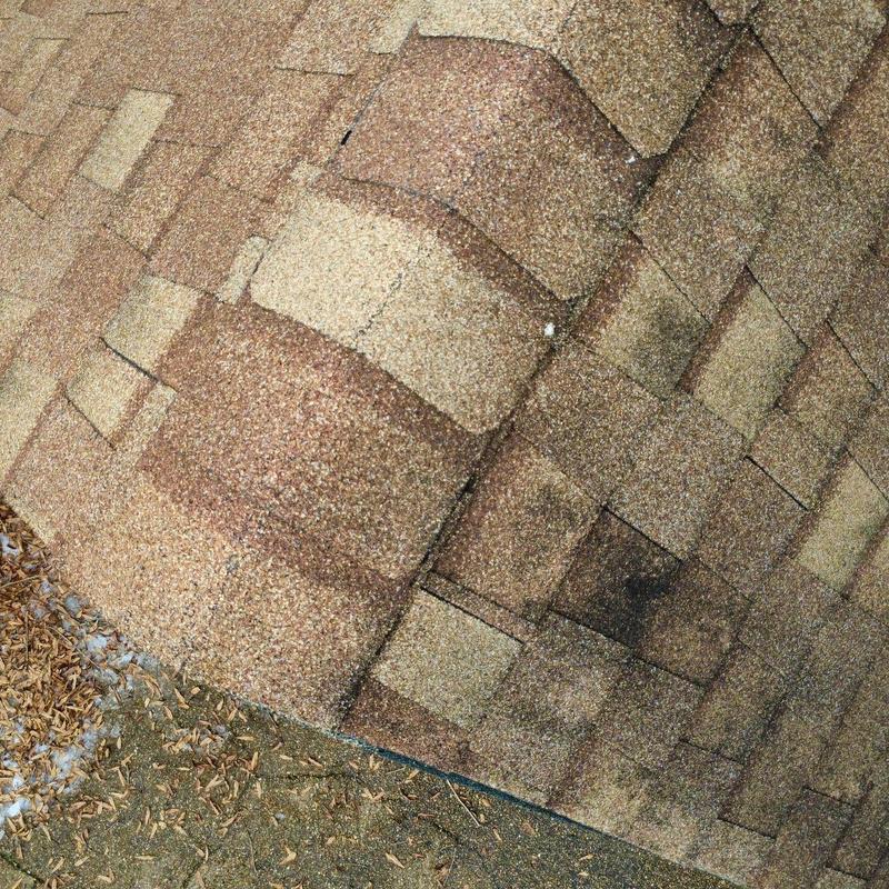 Asphalt roof shingles with hail damage and wear