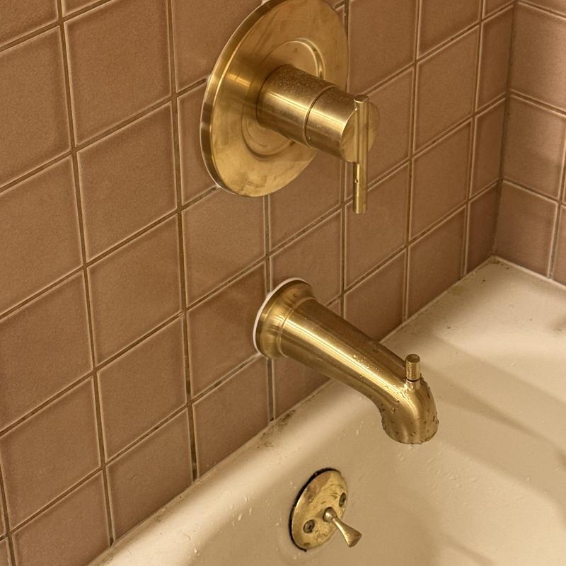 Golden shower valve and tub spout installation