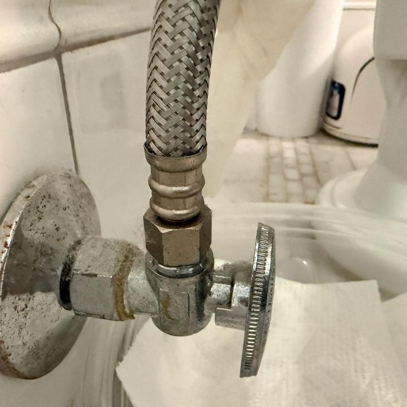 Toilet angle stop valve with braided supply line