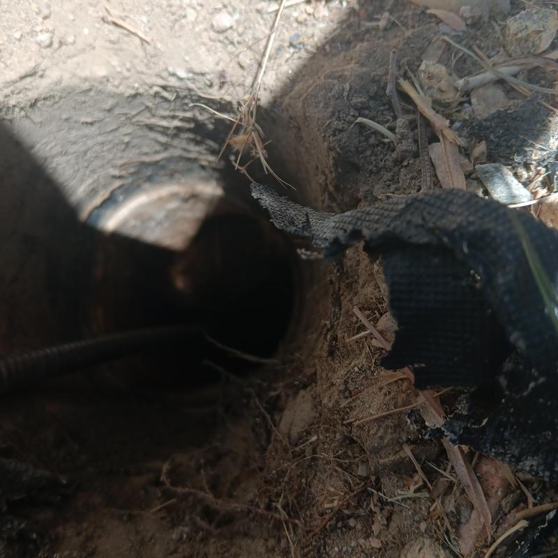 Mainline sewer pipe with root clog and snake tool
