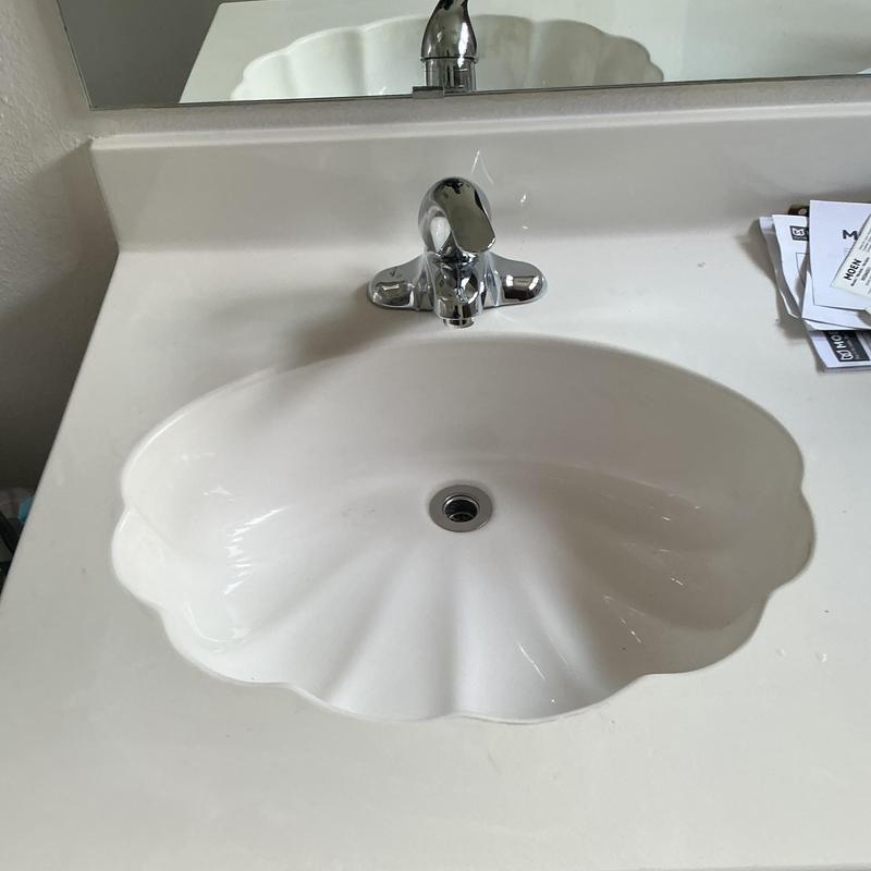 Lavatory sink with chrome faucet and shell basin