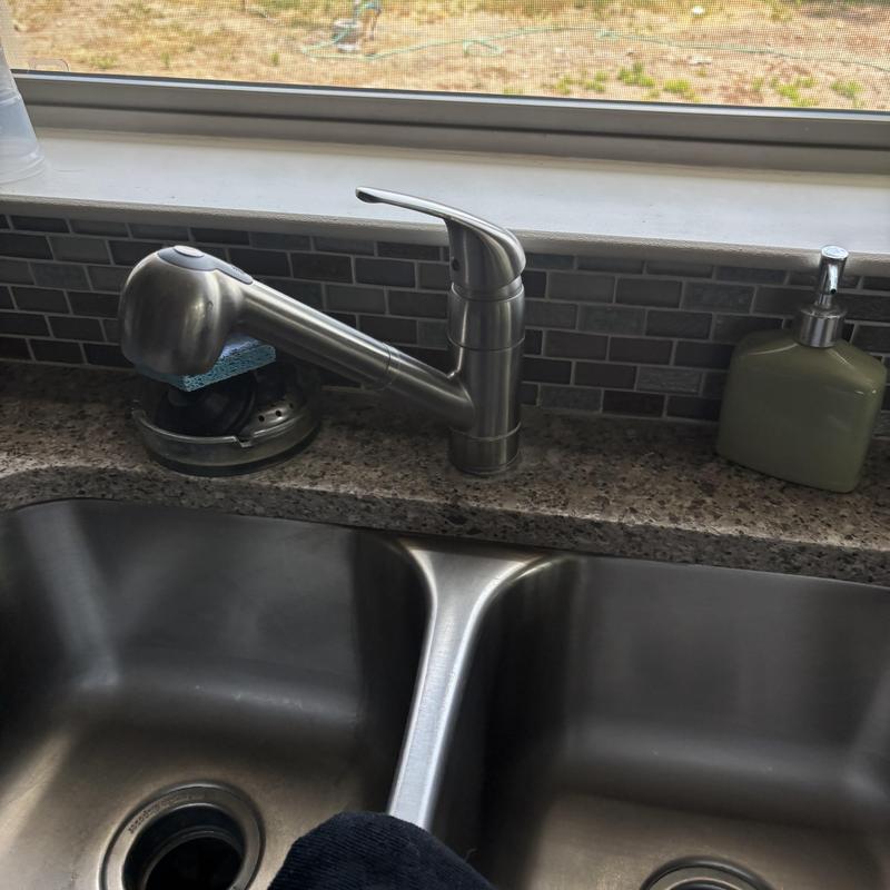 Kitchen faucet and dual stainless steel sink setup