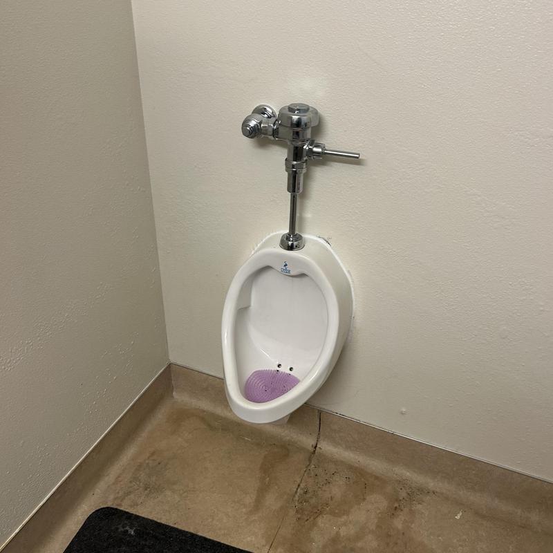 Urinal seal replacement and urinal re-mounting