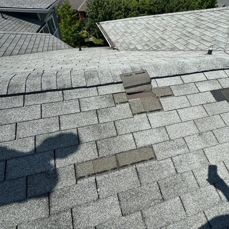 Asphalt roof shingles with missing and damaged areas
