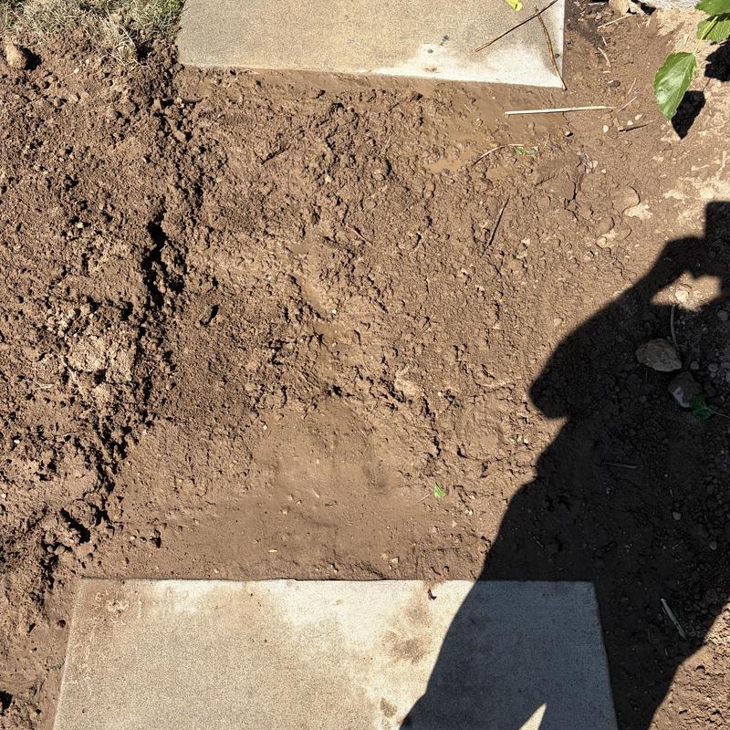 Water main installation site with backfilled soil