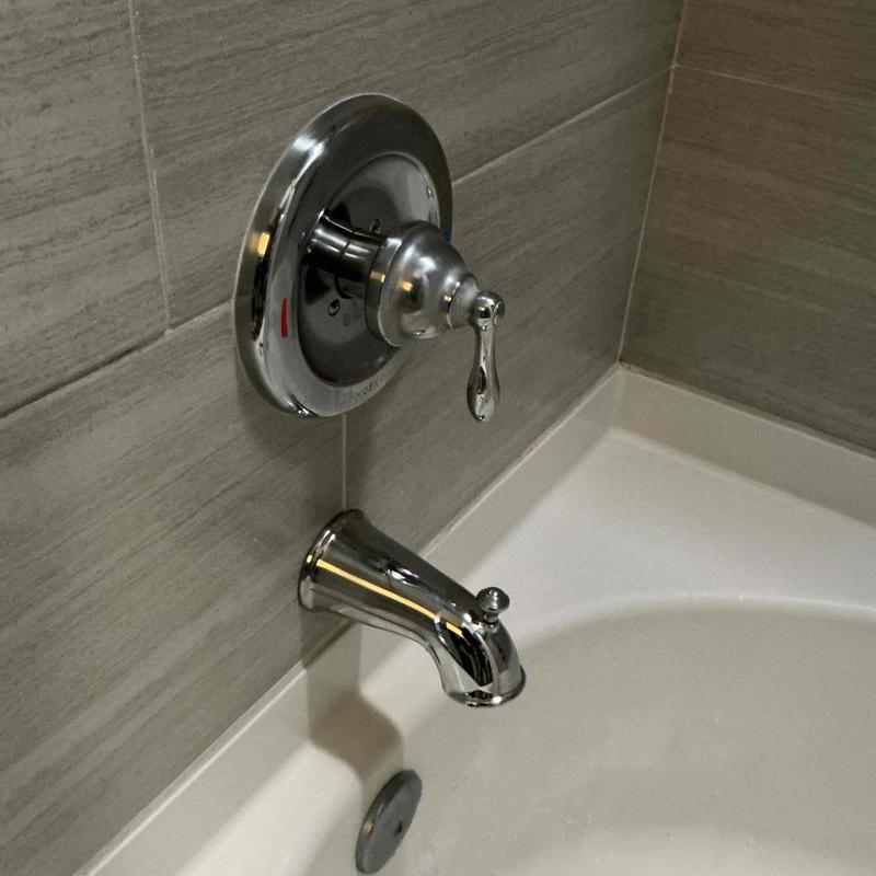 Tub spout diverter and handle in master bathroom tub