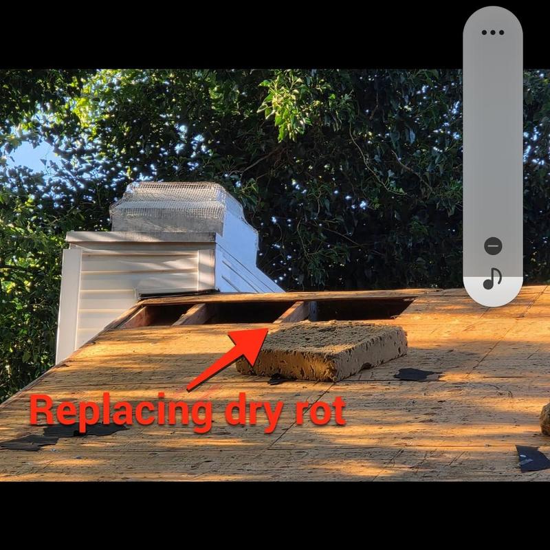 Roof decking with dry rot repair in progress