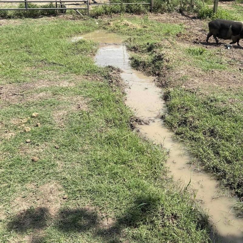 Irrigation line leak search with standing water in yard