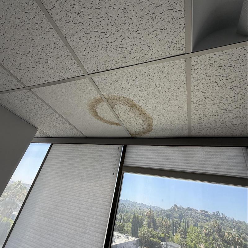 Ceiling tile with water stain near windows Ceiling tile with water stain near windows