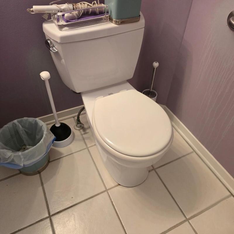 Toilet system with auger and plunger in bathroom