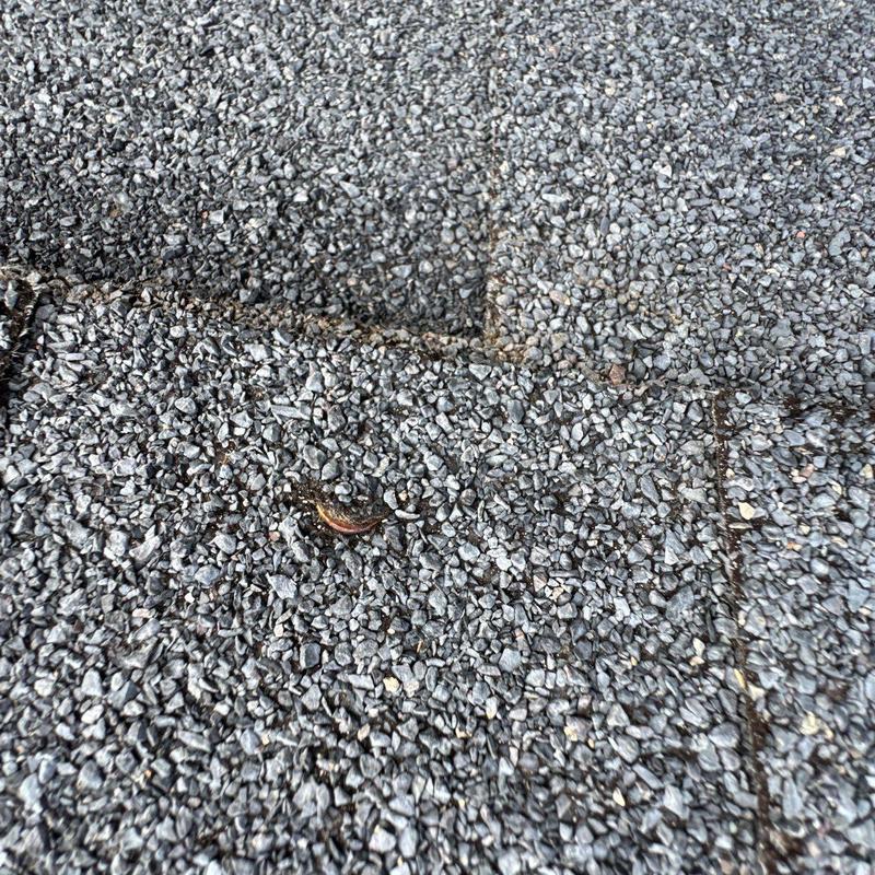 Asphalt roofing shingles with hail damage close-up