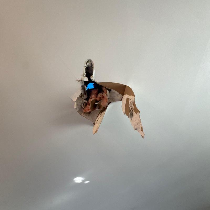 Drywall with large hole and exposed insulation damage