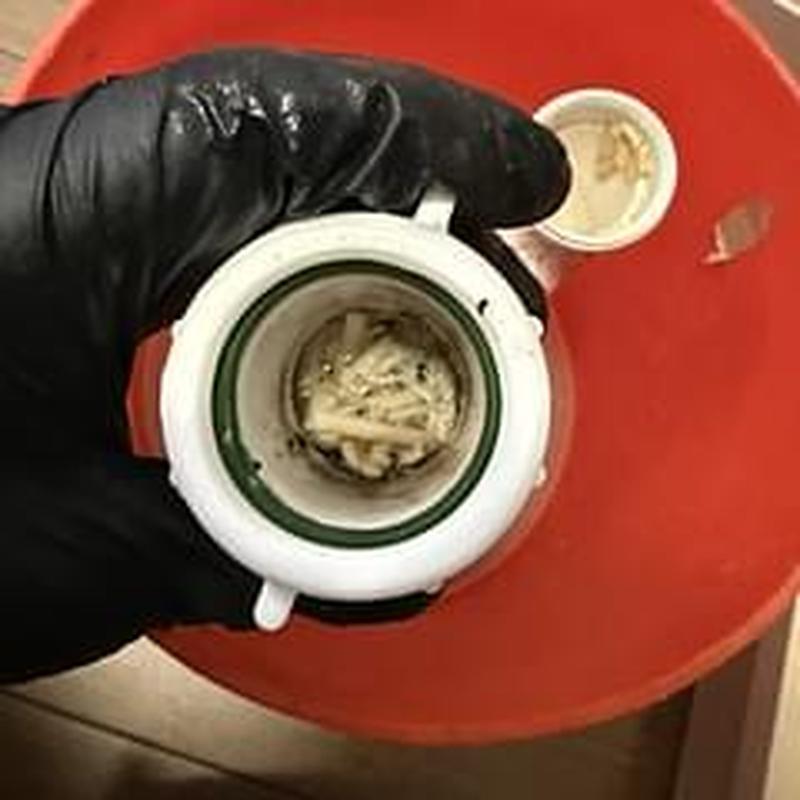 Garbage disposal drain trap clogged with debris cleaning