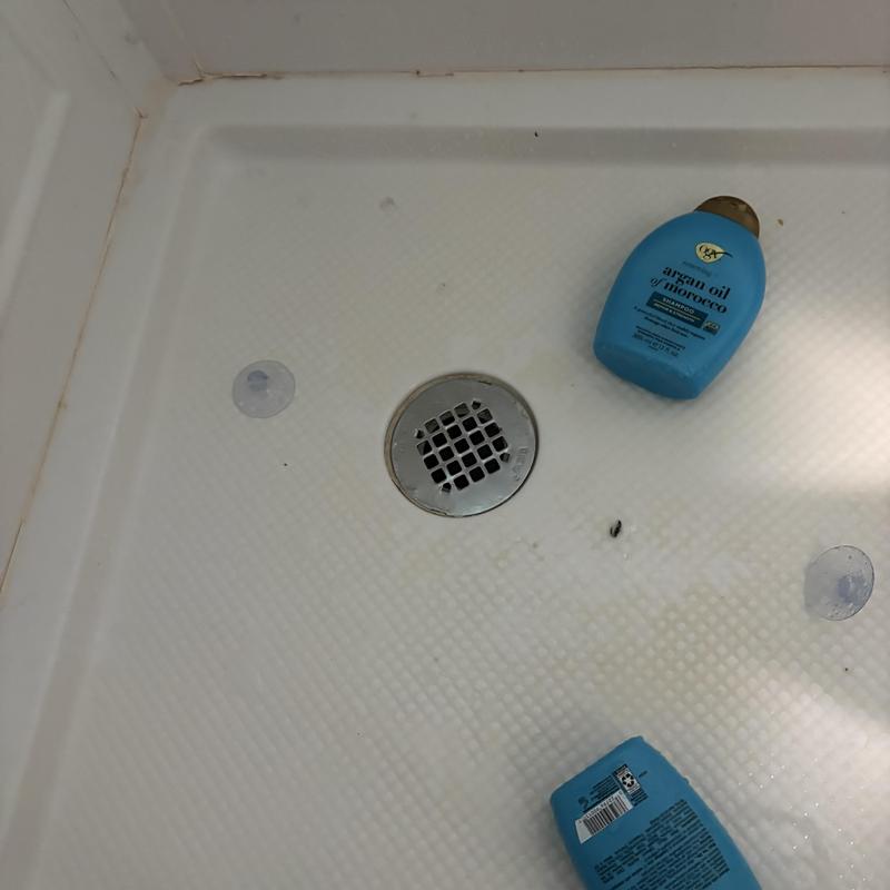 Open shower drain and capped trap installation glimpse Open shower drain and capped trap installation glimpse