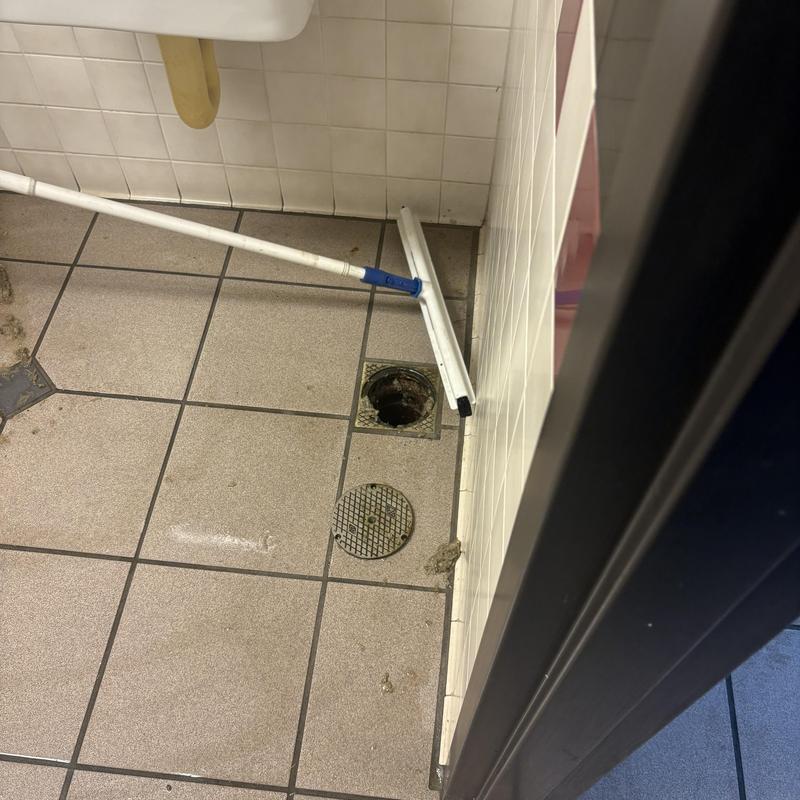 Floor drain cleanout with snake and squeegee tool