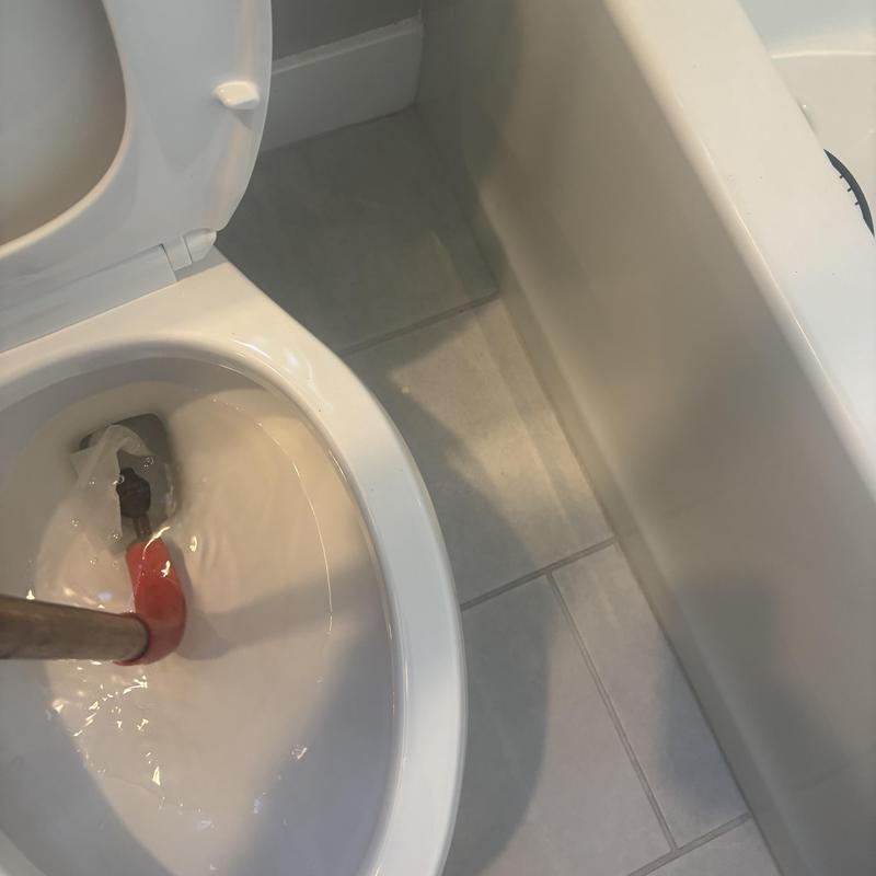 Toilet drain auger clearing blockage inside bowl