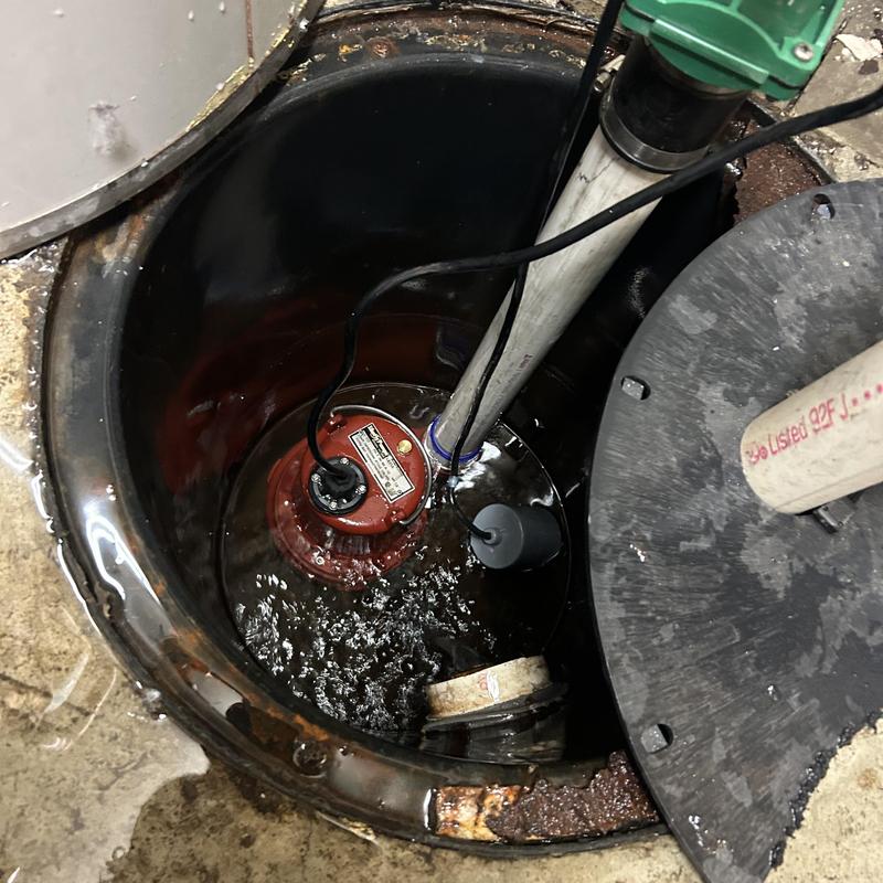 Sump pump replacement in flooded commercial property pit