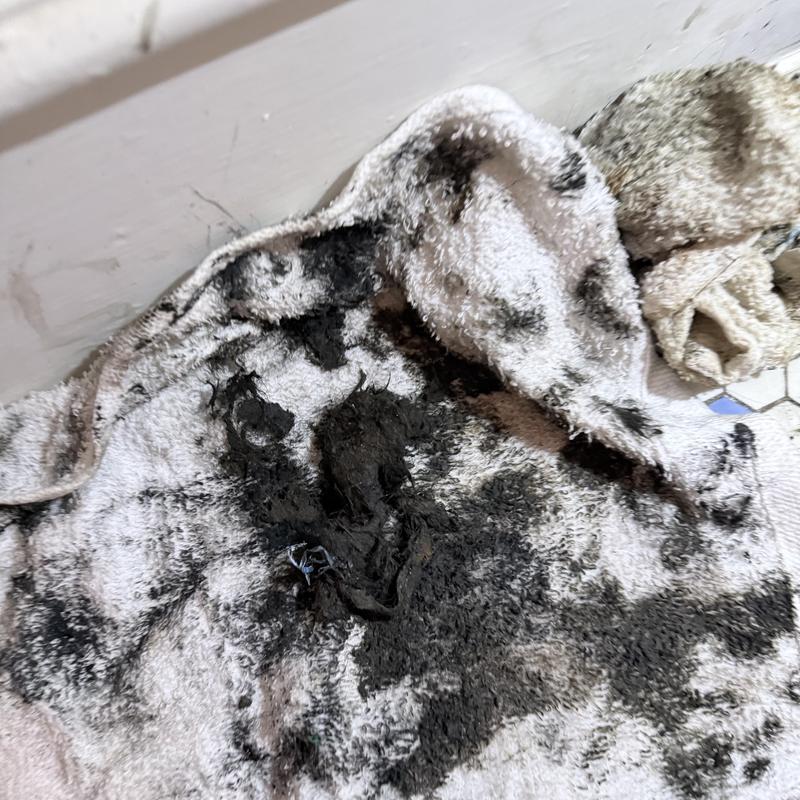 Tub drain clog debris on dirty towel Tub drain clog debris on dirty towel