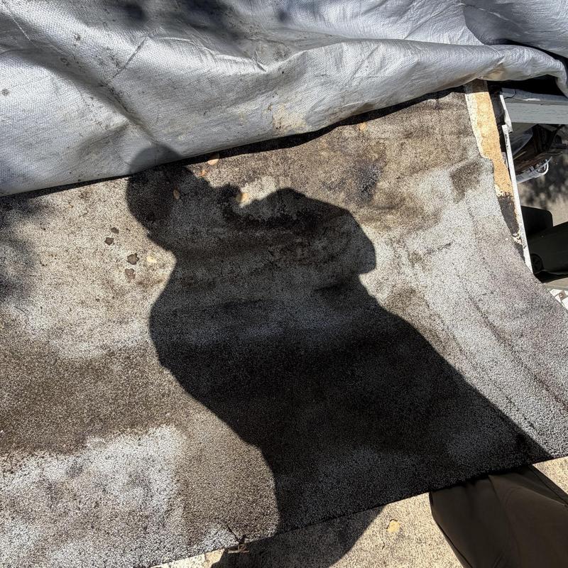 Flat roof membrane with shadow during inspection Flat roof membrane with shadow during inspection