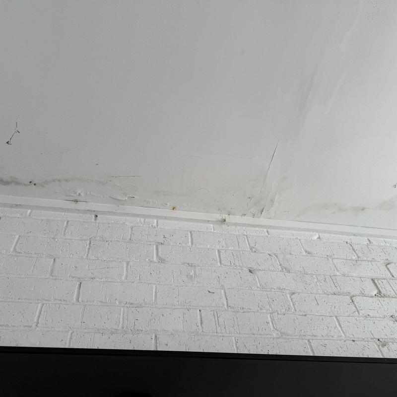 Ceiling drywall with water damage and stains