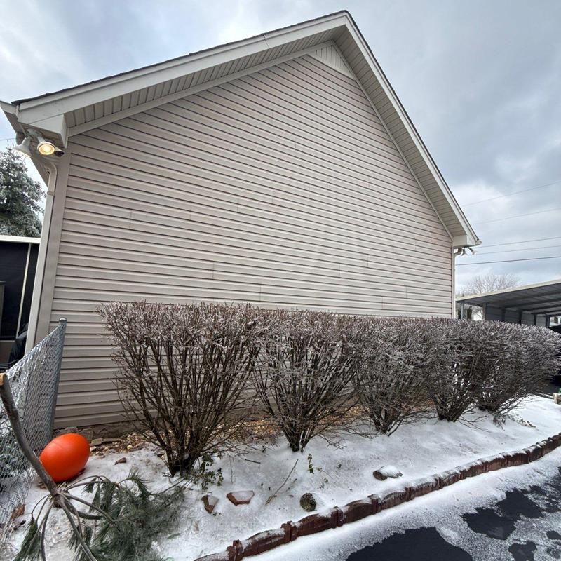 Vinyl siding exterior wall with winter shrubs