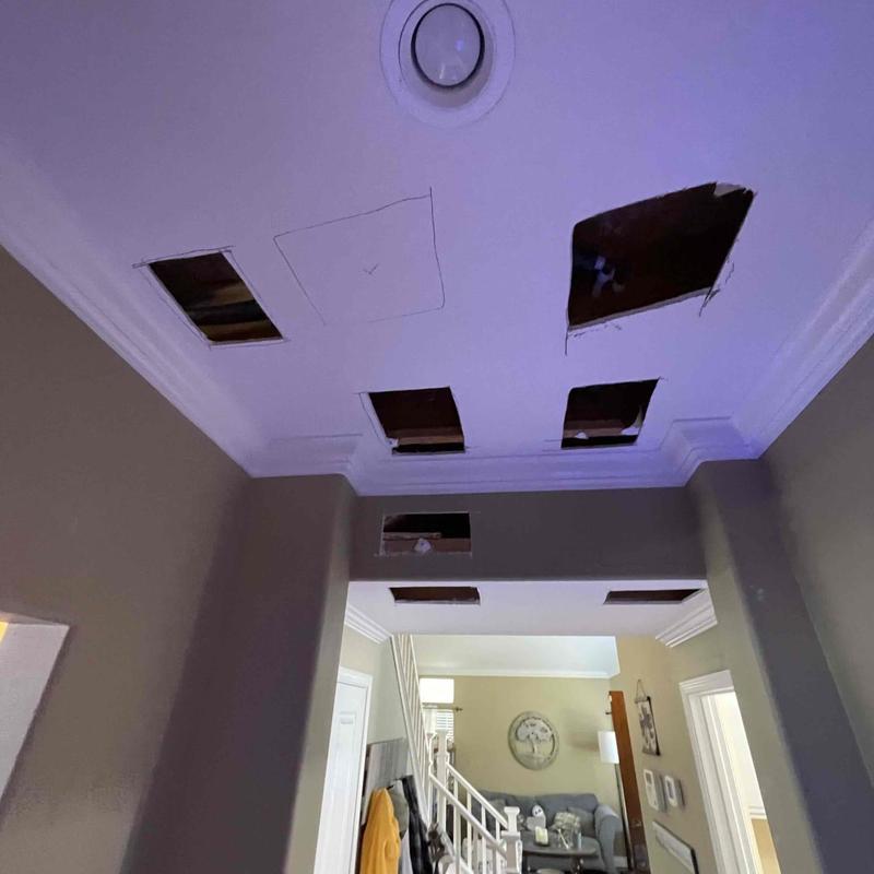 Drywall ceiling with multiple cutouts for repiping access